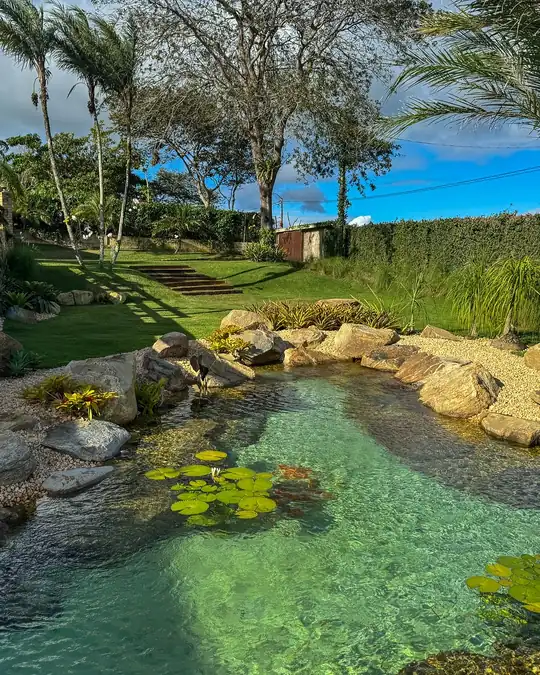 Lago com plantas aquáticas junto à parede de tijolos de uma casa